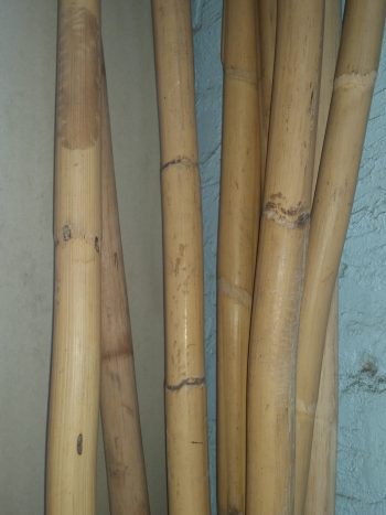 Bamboo Pole approx 3cm thick $14 per metre