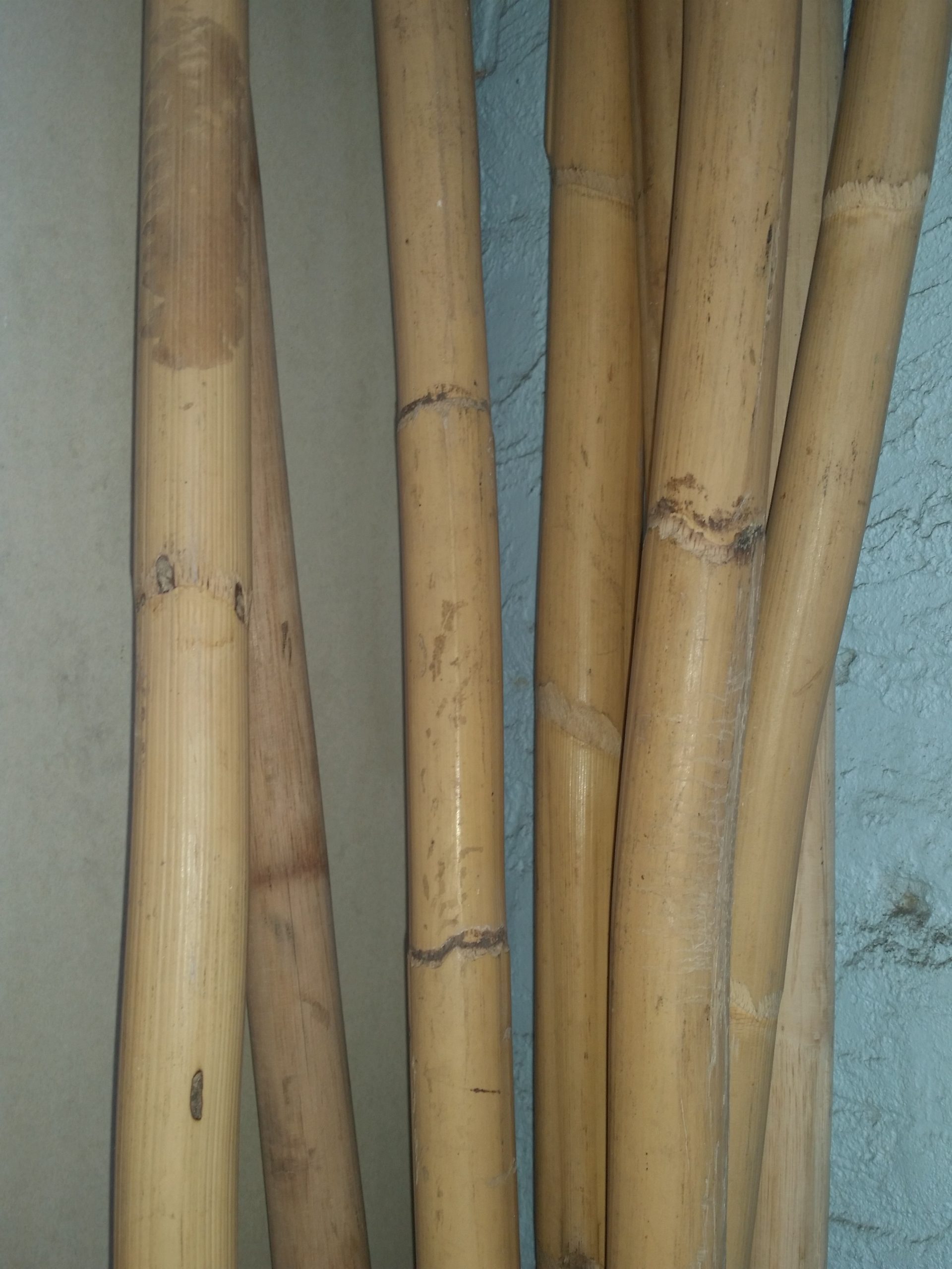Cane Pole approx 30mm thick $18 per metre - Cobra Cane