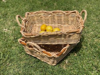 Tall Rectangle Rattan Trays - Image 4