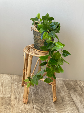Natural Rattan Plant Stand or Cane Stool, Neptune Design - Image 3